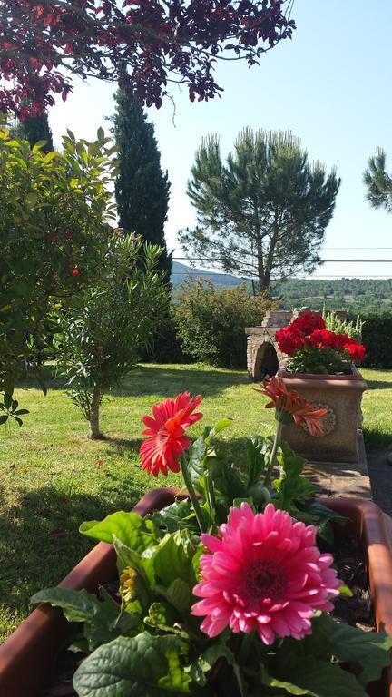 Agriturismo Il Catrino Ponteginori Exterior foto