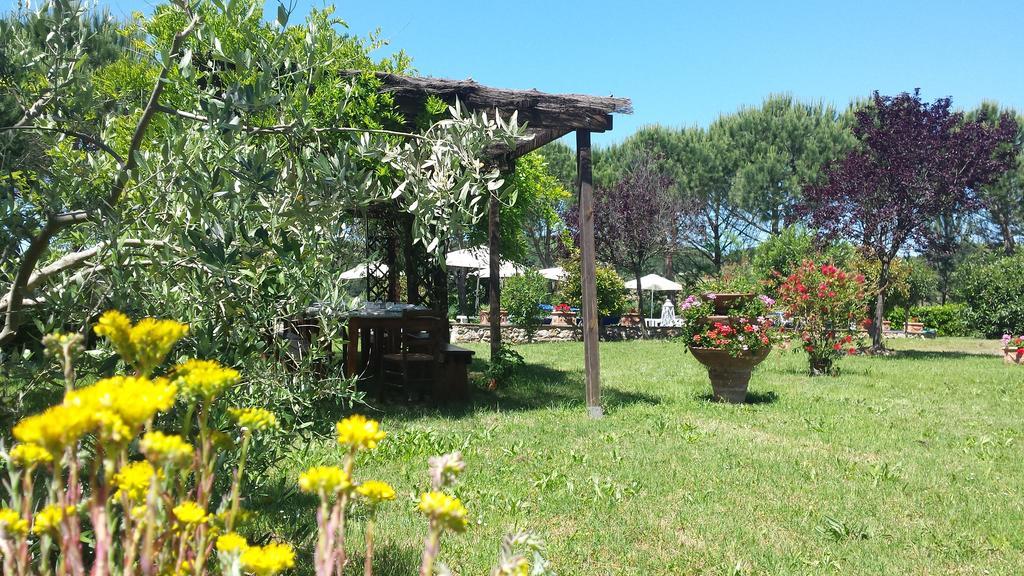 Agriturismo Il Catrino Ponteginori Exterior foto