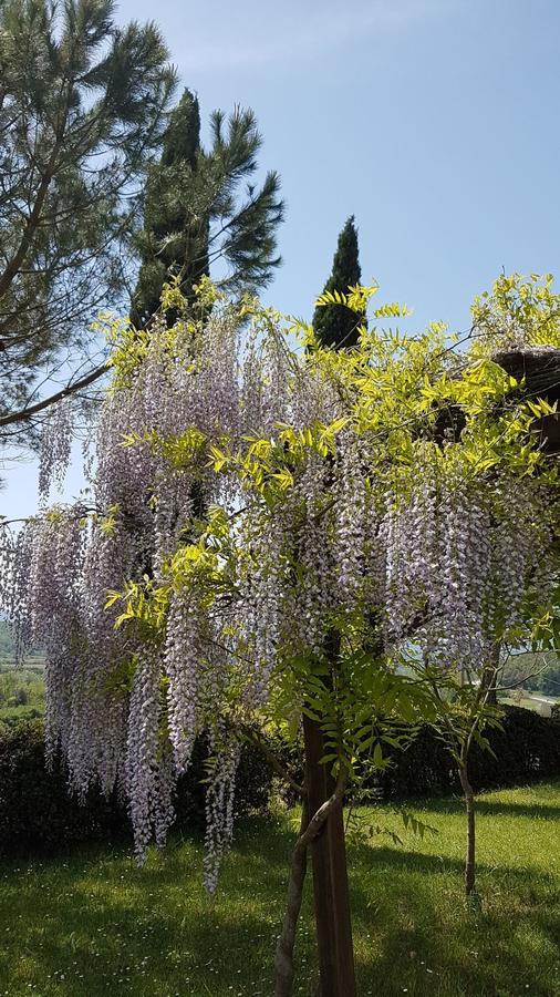 Agriturismo Il Catrino Ponteginori Exterior foto