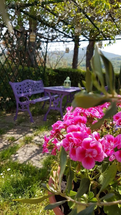 Agriturismo Il Catrino Ponteginori Exterior foto