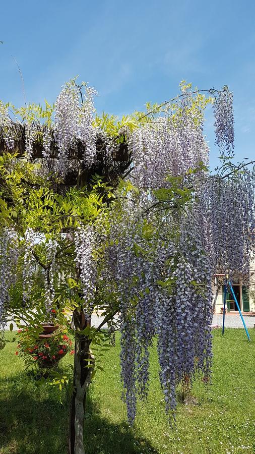 Agriturismo Il Catrino Ponteginori Exterior foto